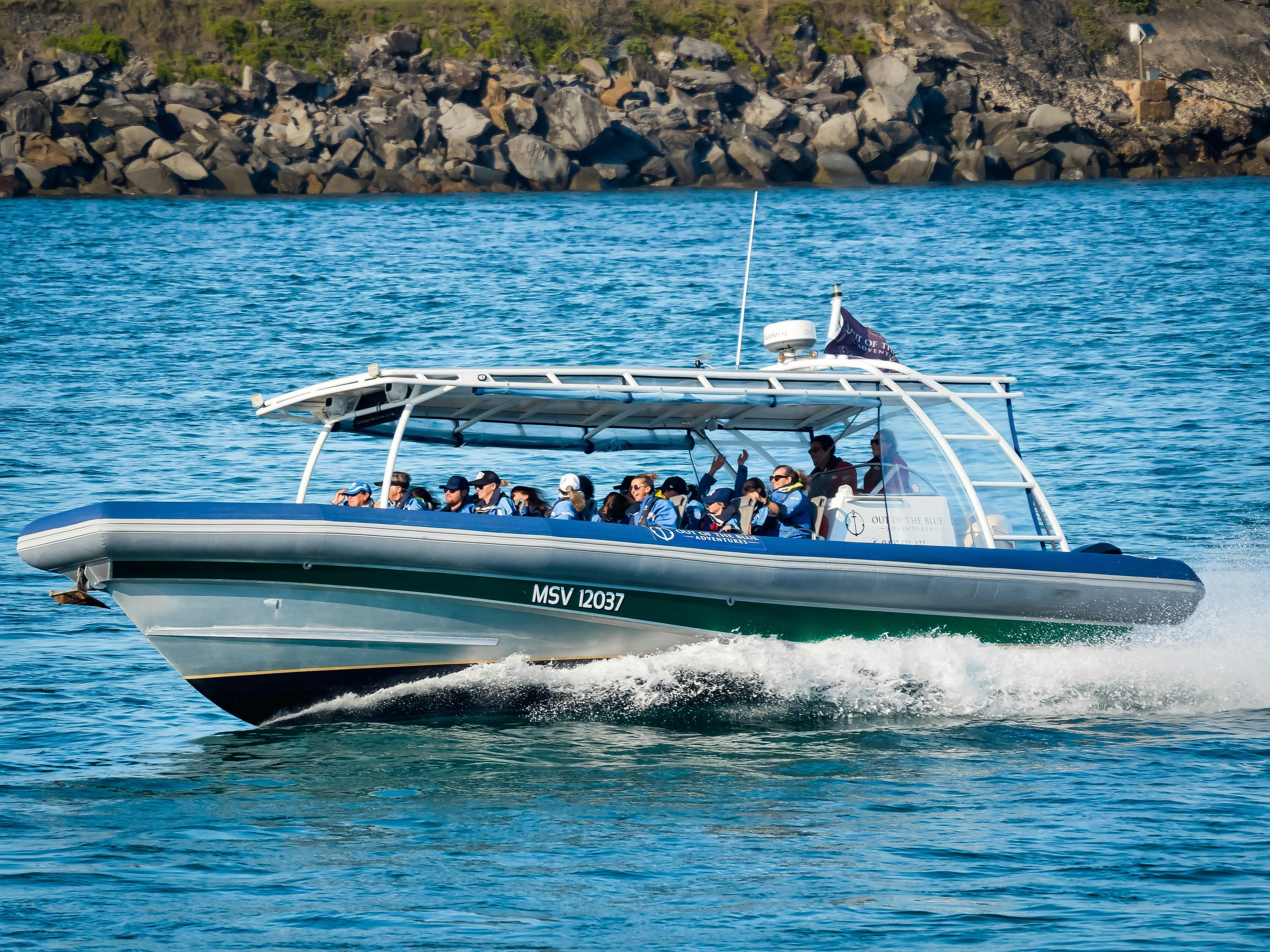 Byron Bay cruises