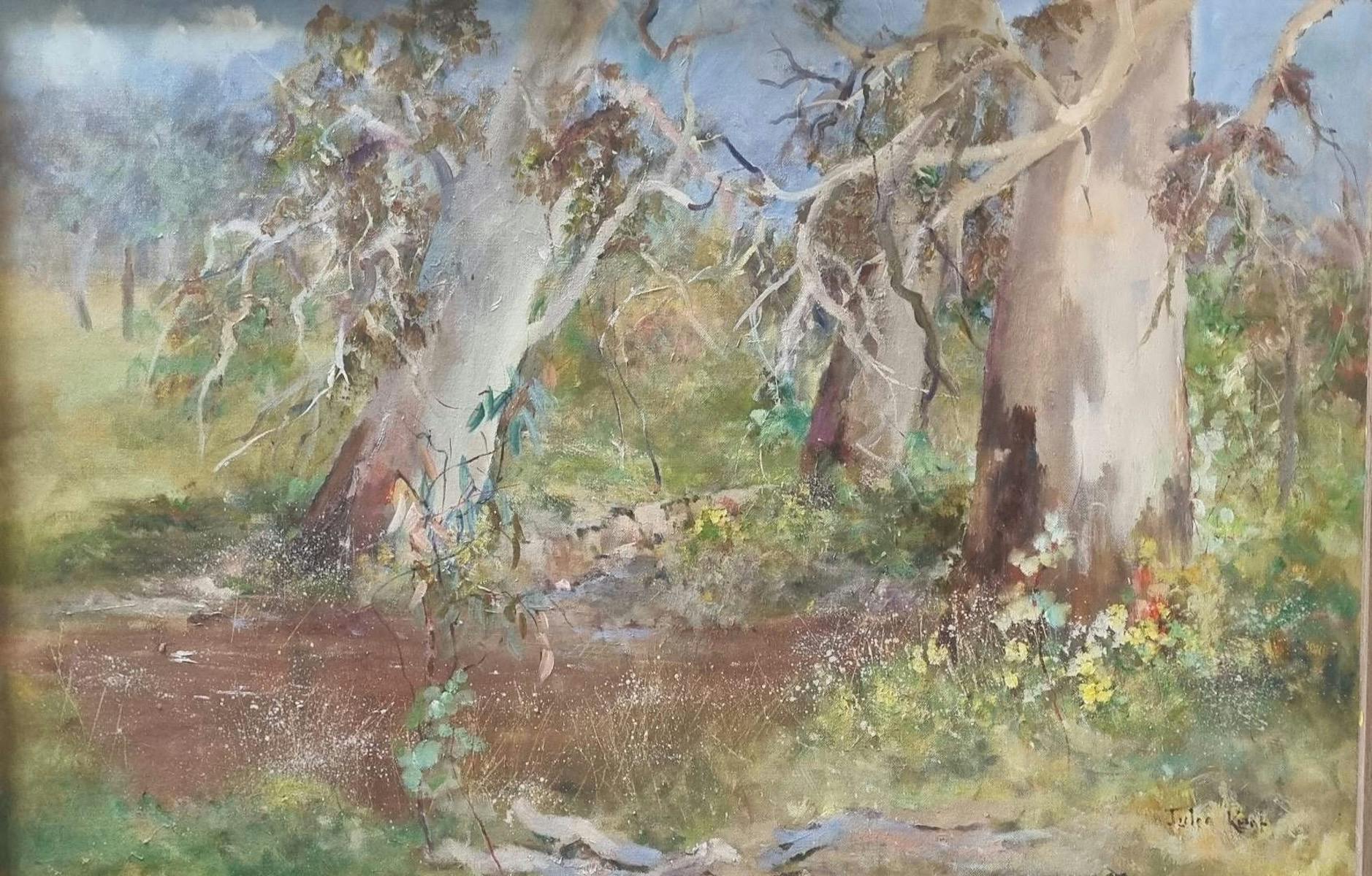Gum trees in a bush setting