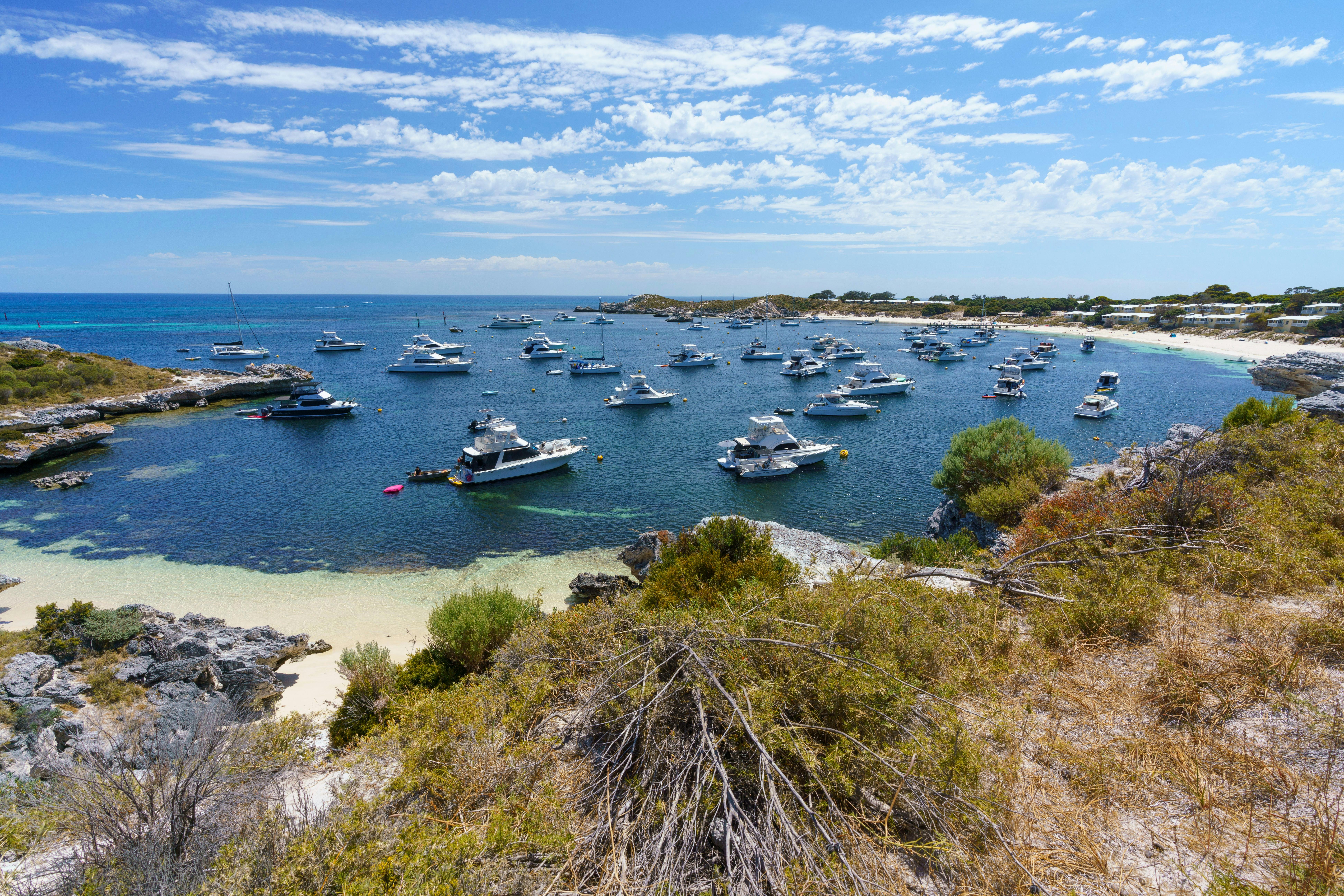 Boat abound in the Bay