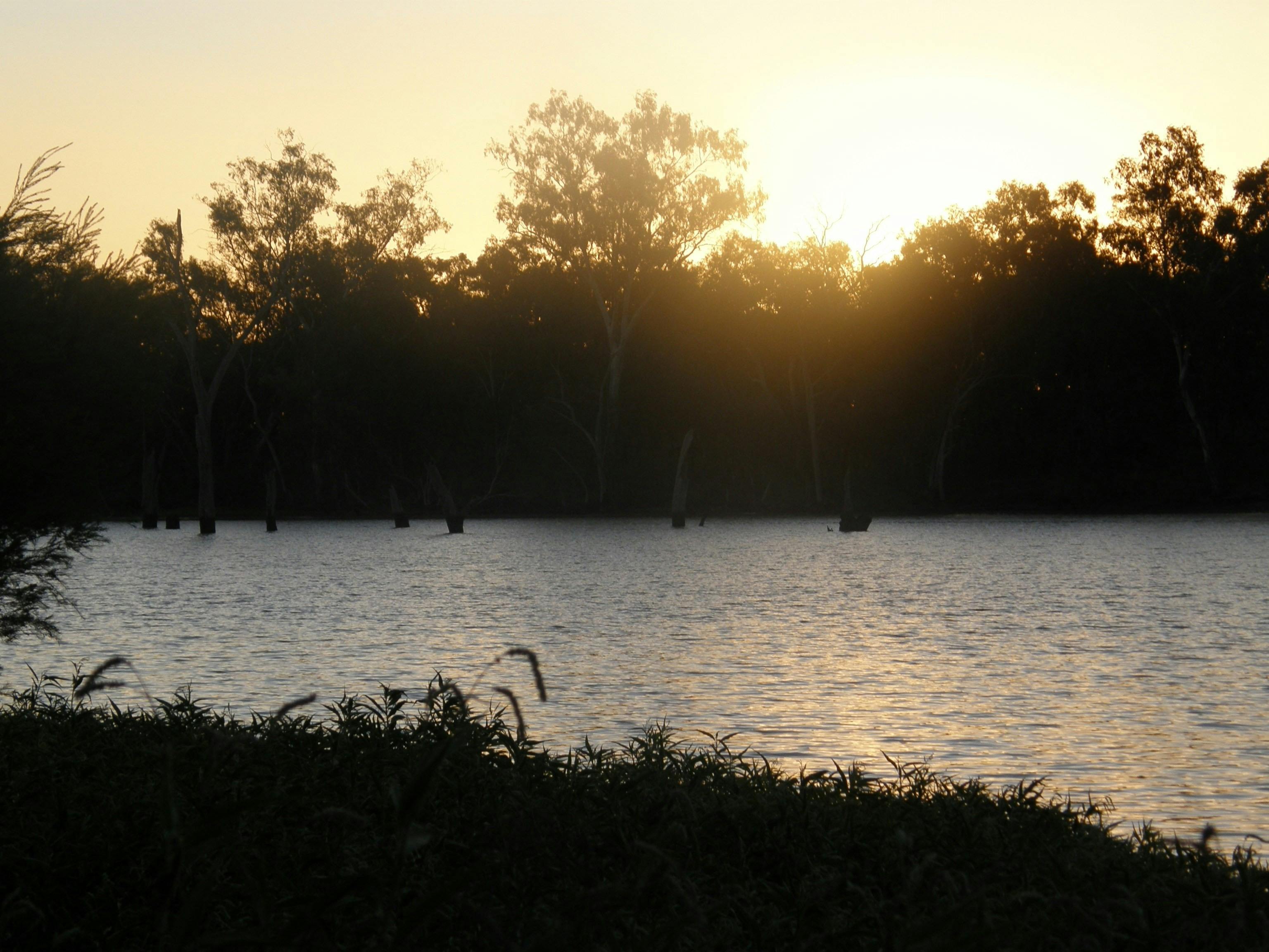 Paroo River, Currawinya NP