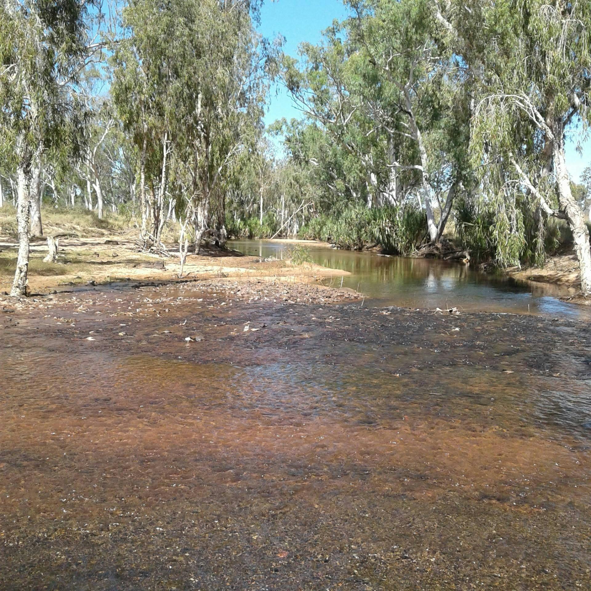 King Edward river