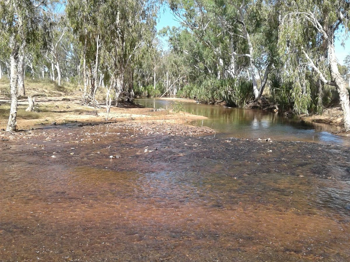 King Edward river