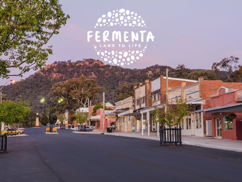 Image for Fermenta