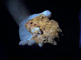 Found during an Experience tour