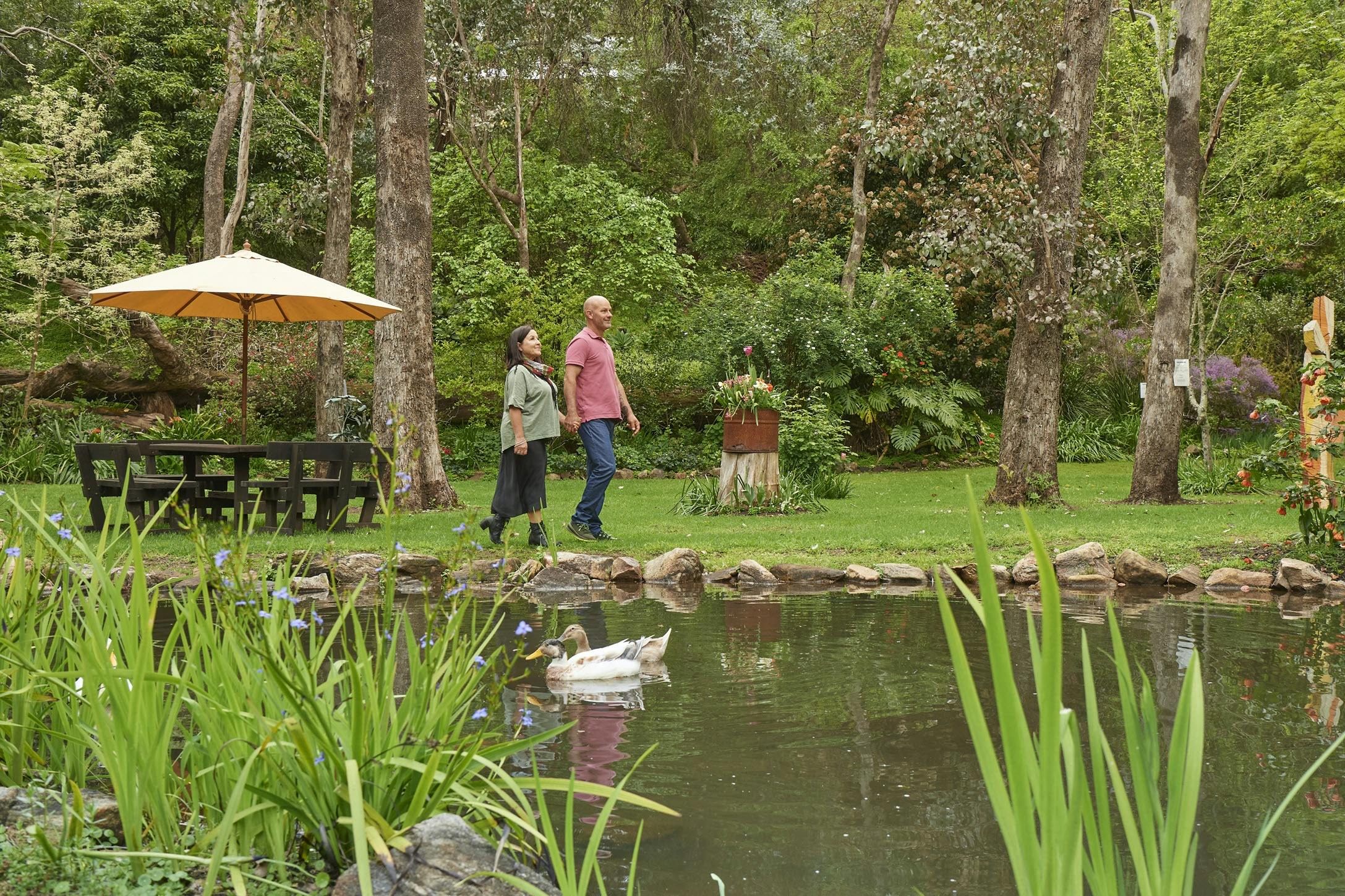 pond walk in Nannup