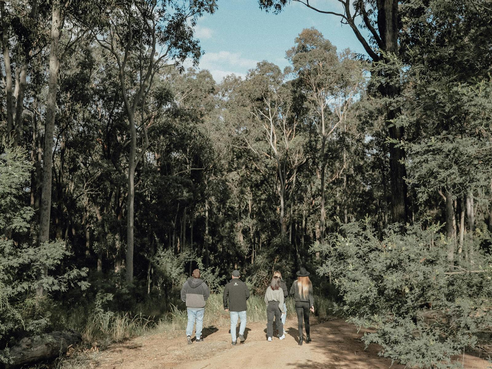 자연으로 둘러싸인 부시 트랙을 걷는 4명의 그룹