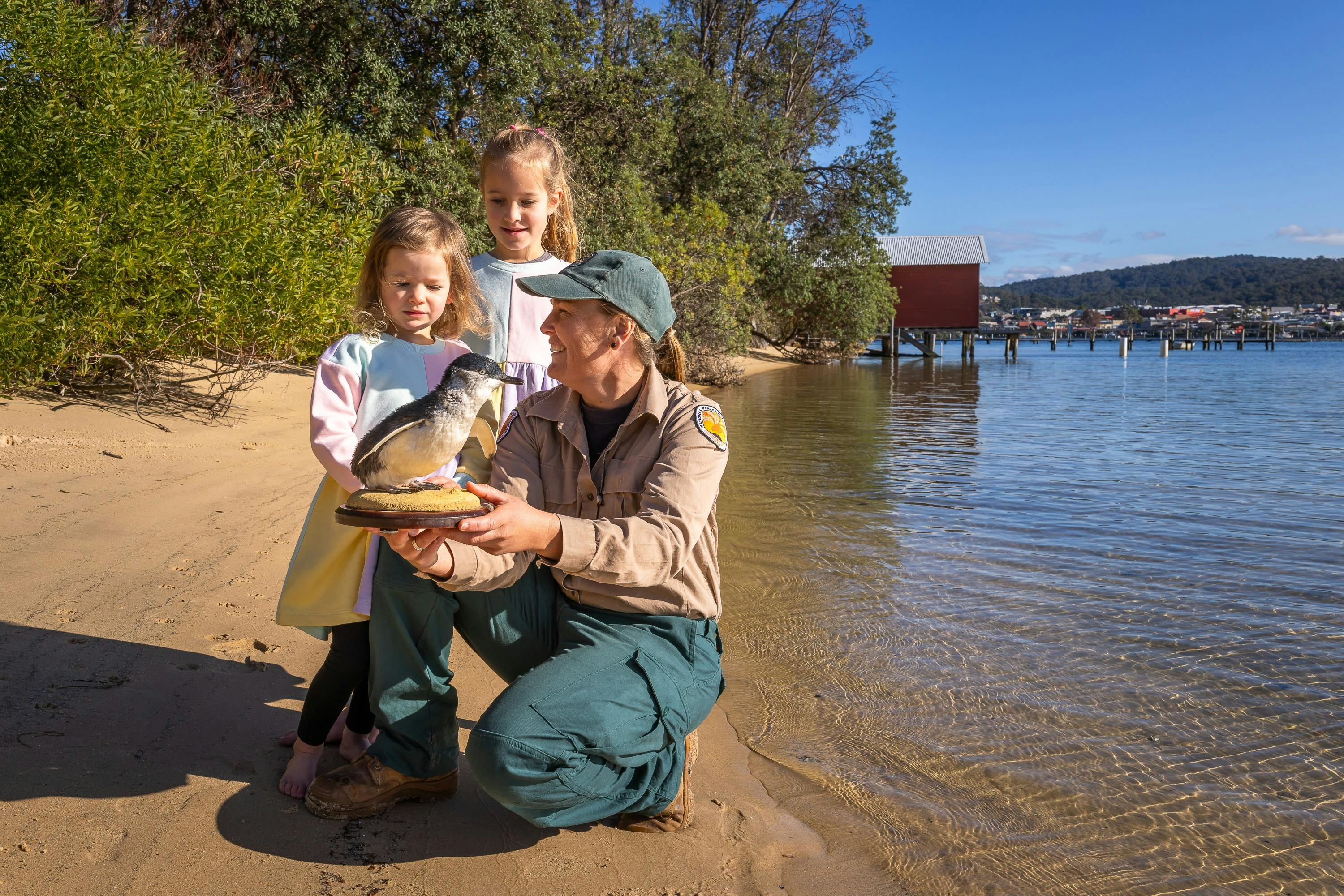 Guide with taxidermy penguin