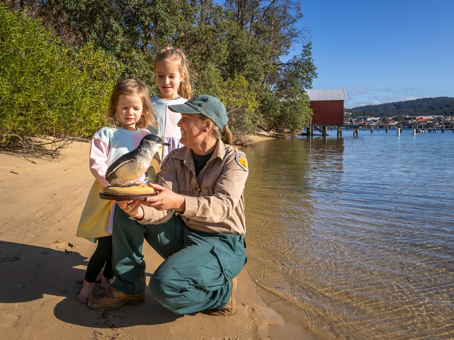 Guide with taxidermy penguin