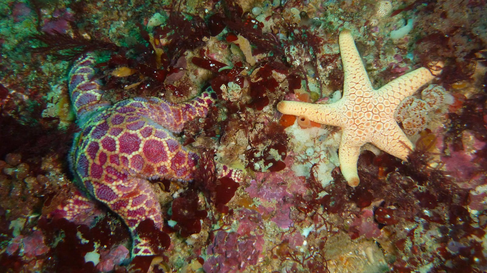 Twelve Apostles Marine National Park