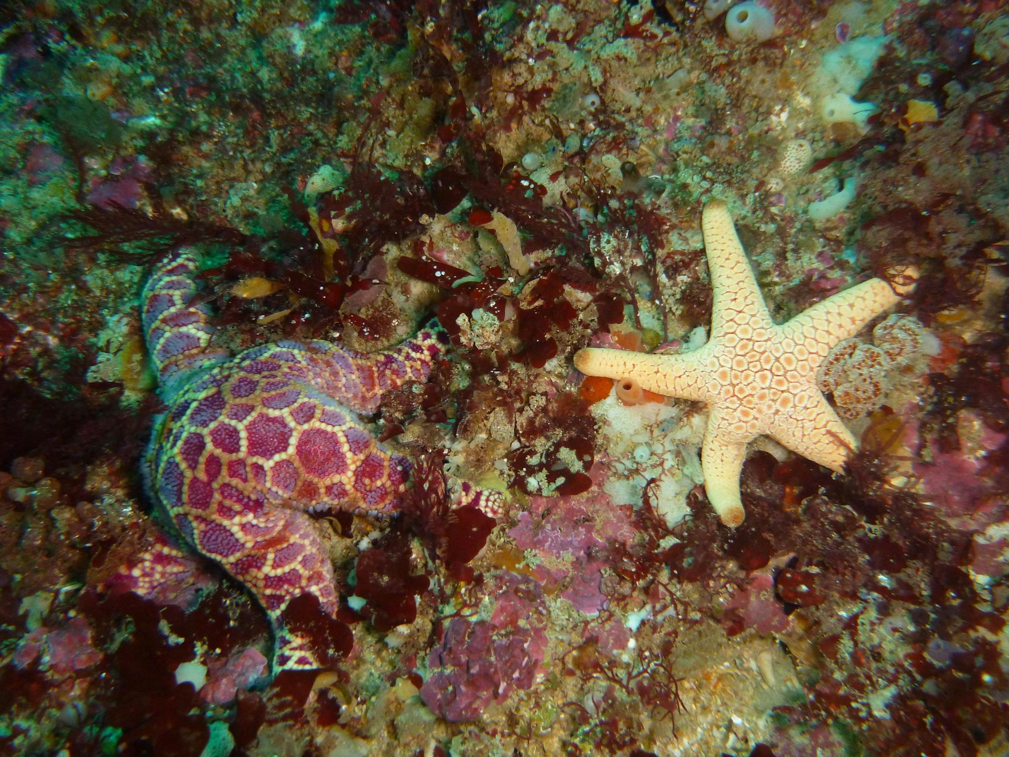 Twelve Apostles Marine National Park