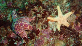 Twelve Apostles Marine National Park