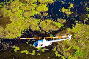 North Australian Helicopters