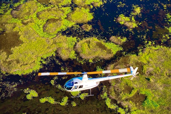 North Australian Helicopters