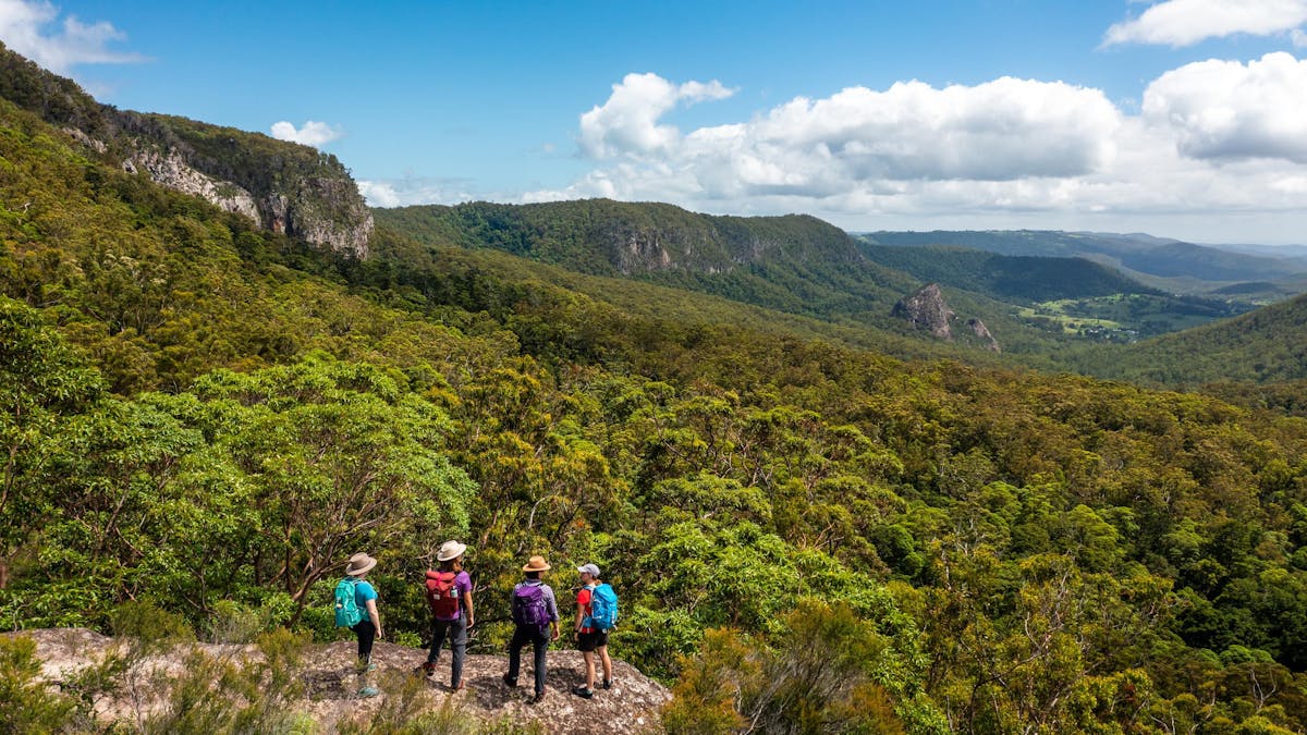 Four hikers standing on top of a rocky outcrop overlooking Lamington National Park