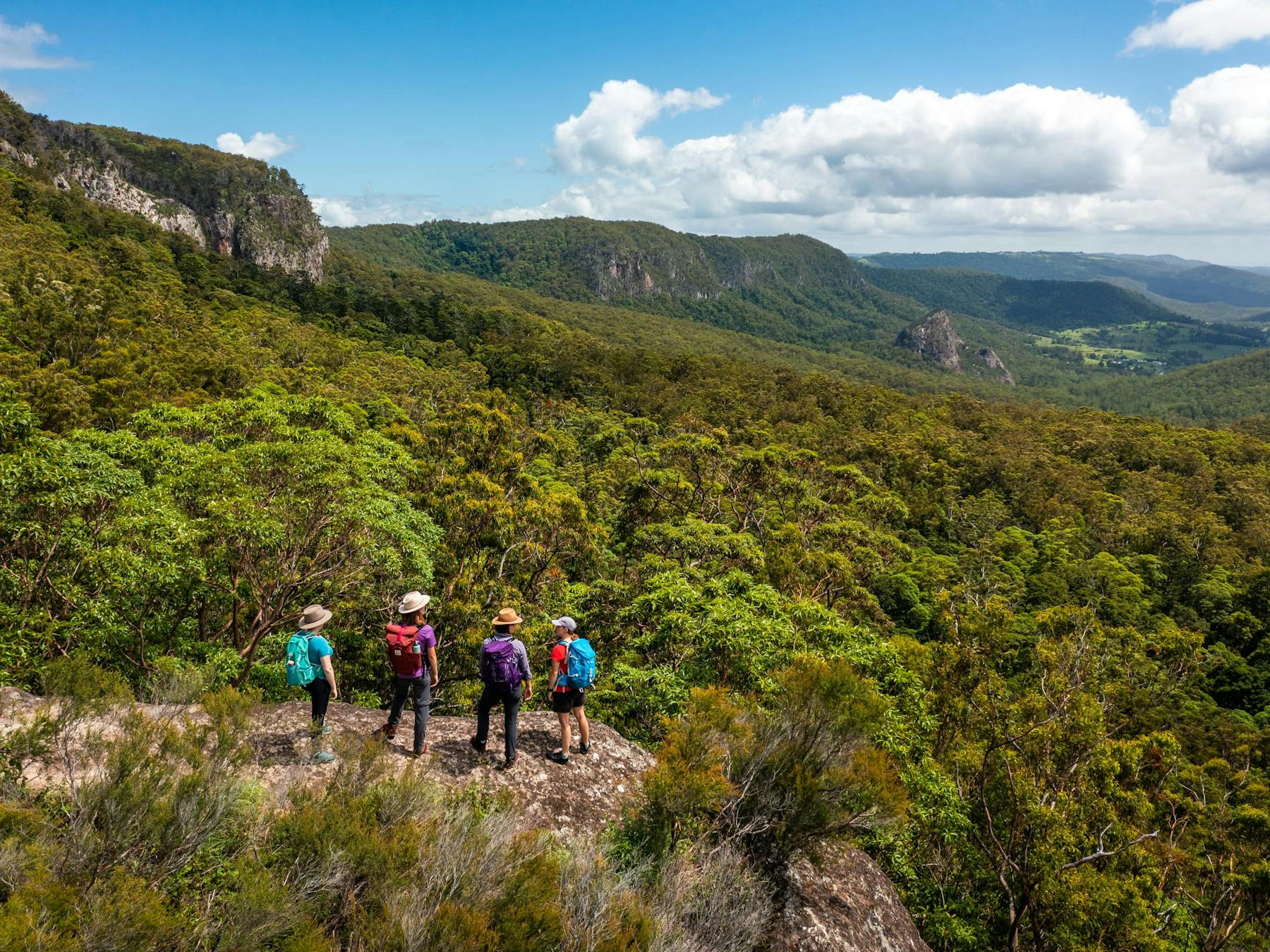Lamington National Park guided walks