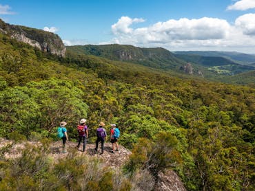 Lamington National Park guided walks Lamington National Park guided walks