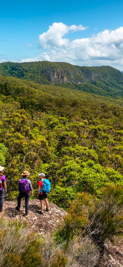 Lamington National Park guided walks