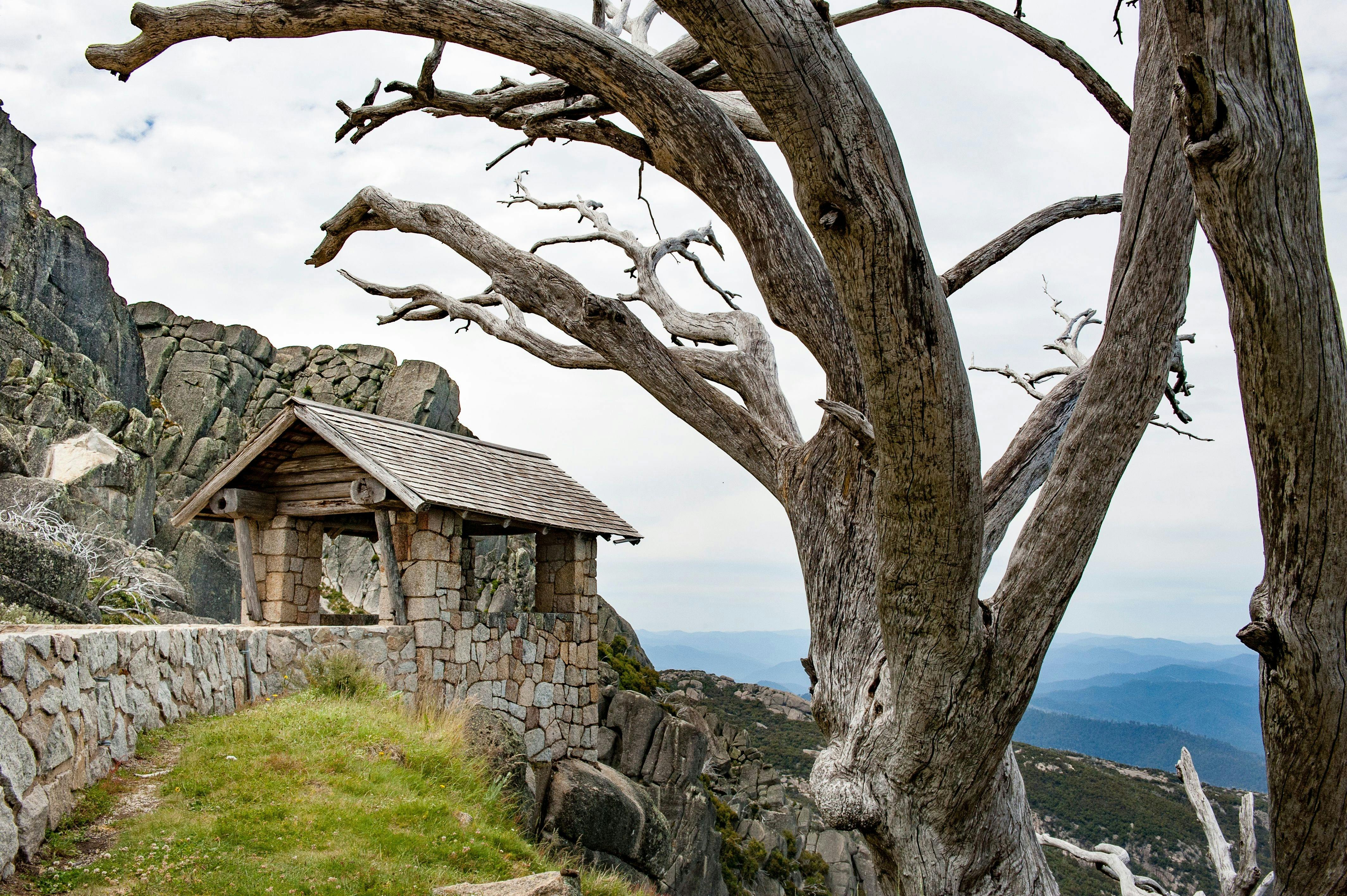 Nature Trax | NSW Holidays & Accommodation, Things to Do, Attractions ...