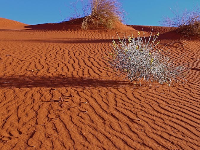 2021 Corner Country Outback Tour - Queensland, New South Wales, South Australia)