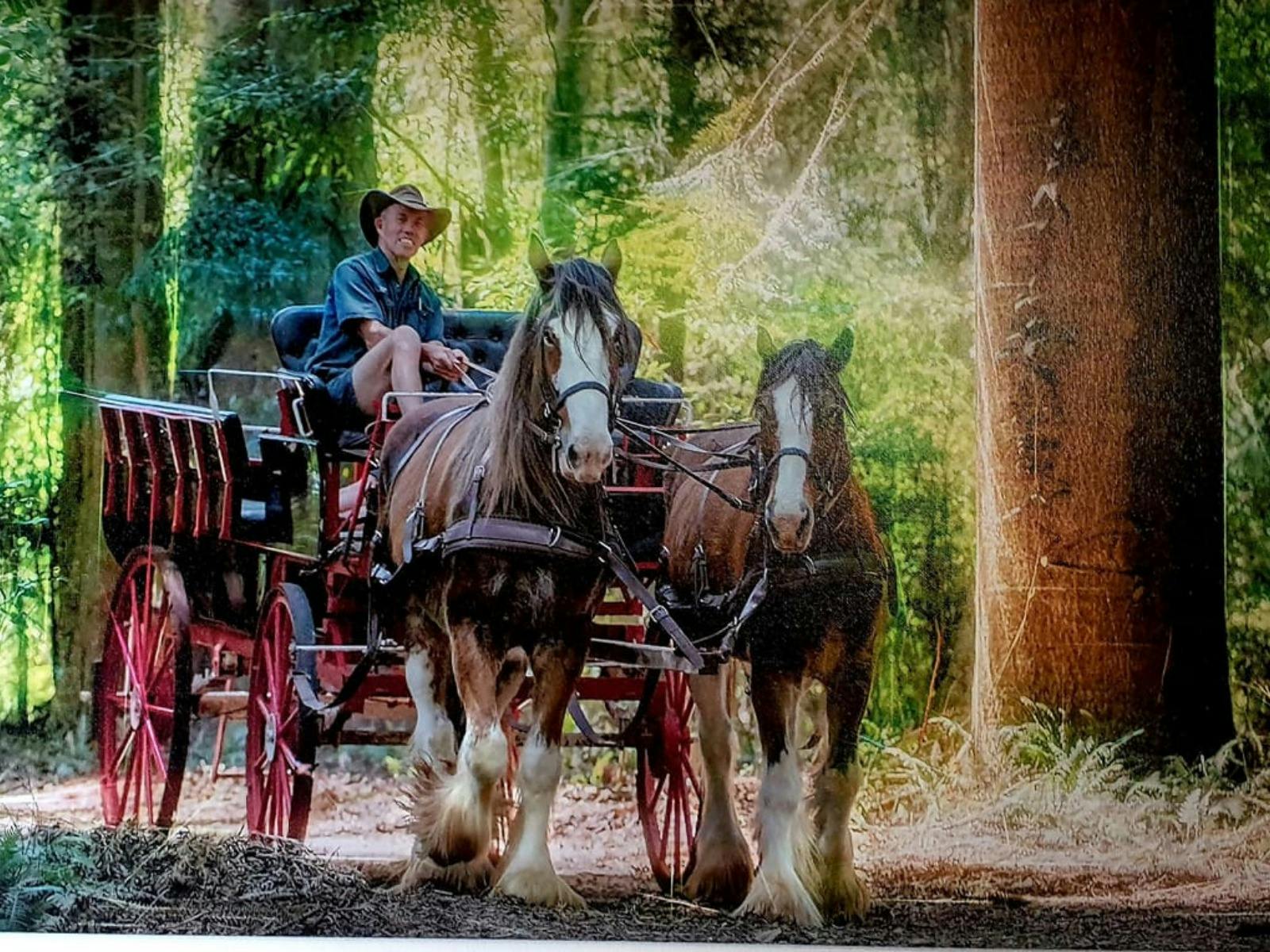 Carriage