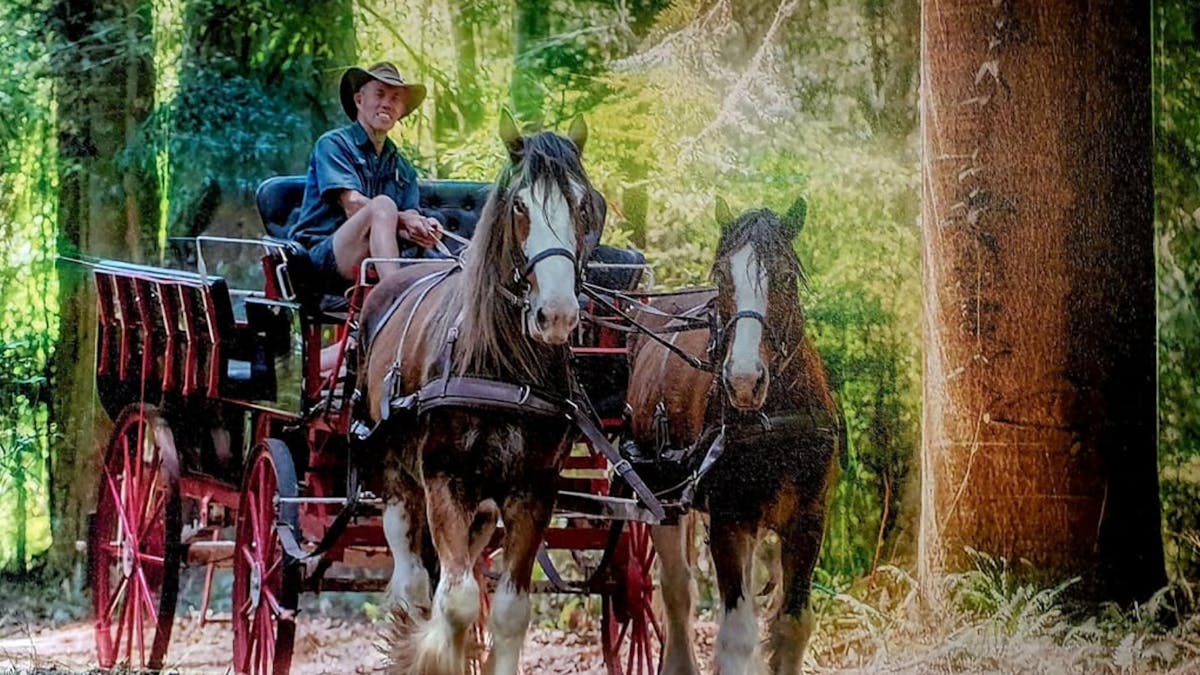 Carriage