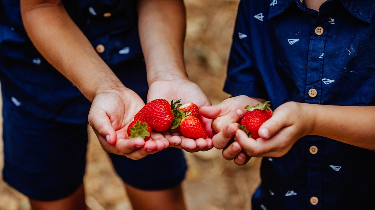 Delicious strawberries