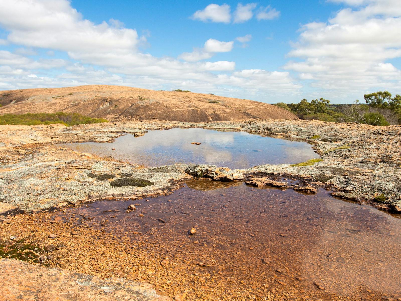 Merredin Peak Trail