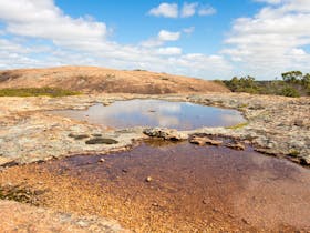 Merredin Peak Trail