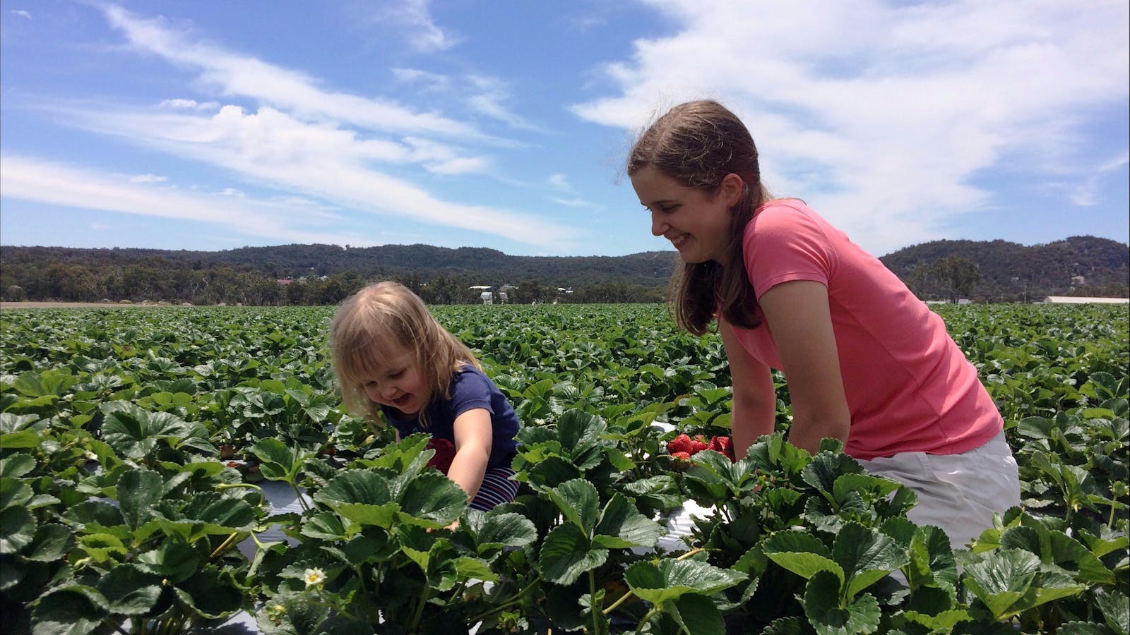 Ashbern Farms