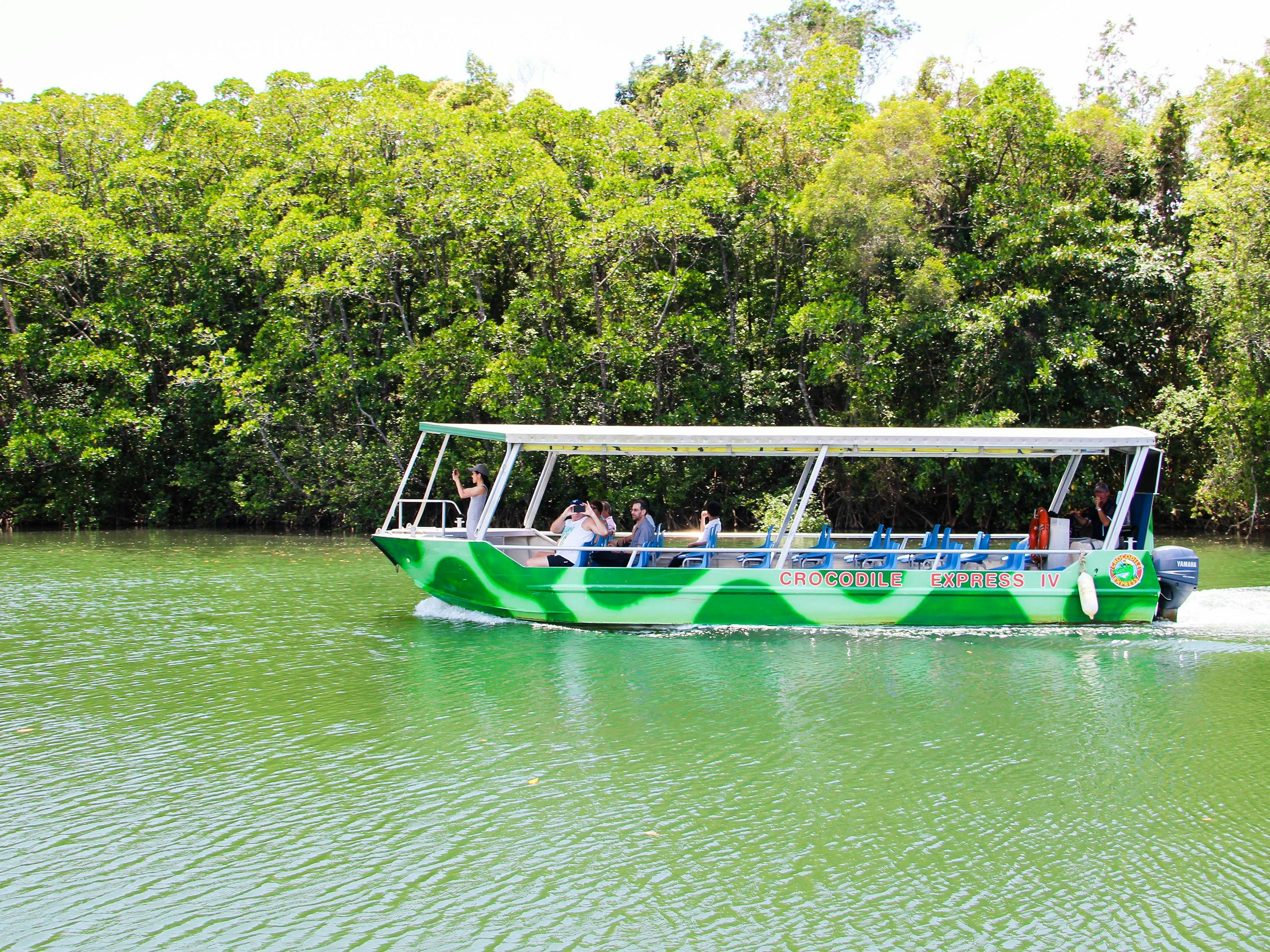 daintree river crocodile cruise jungle tours and trekking