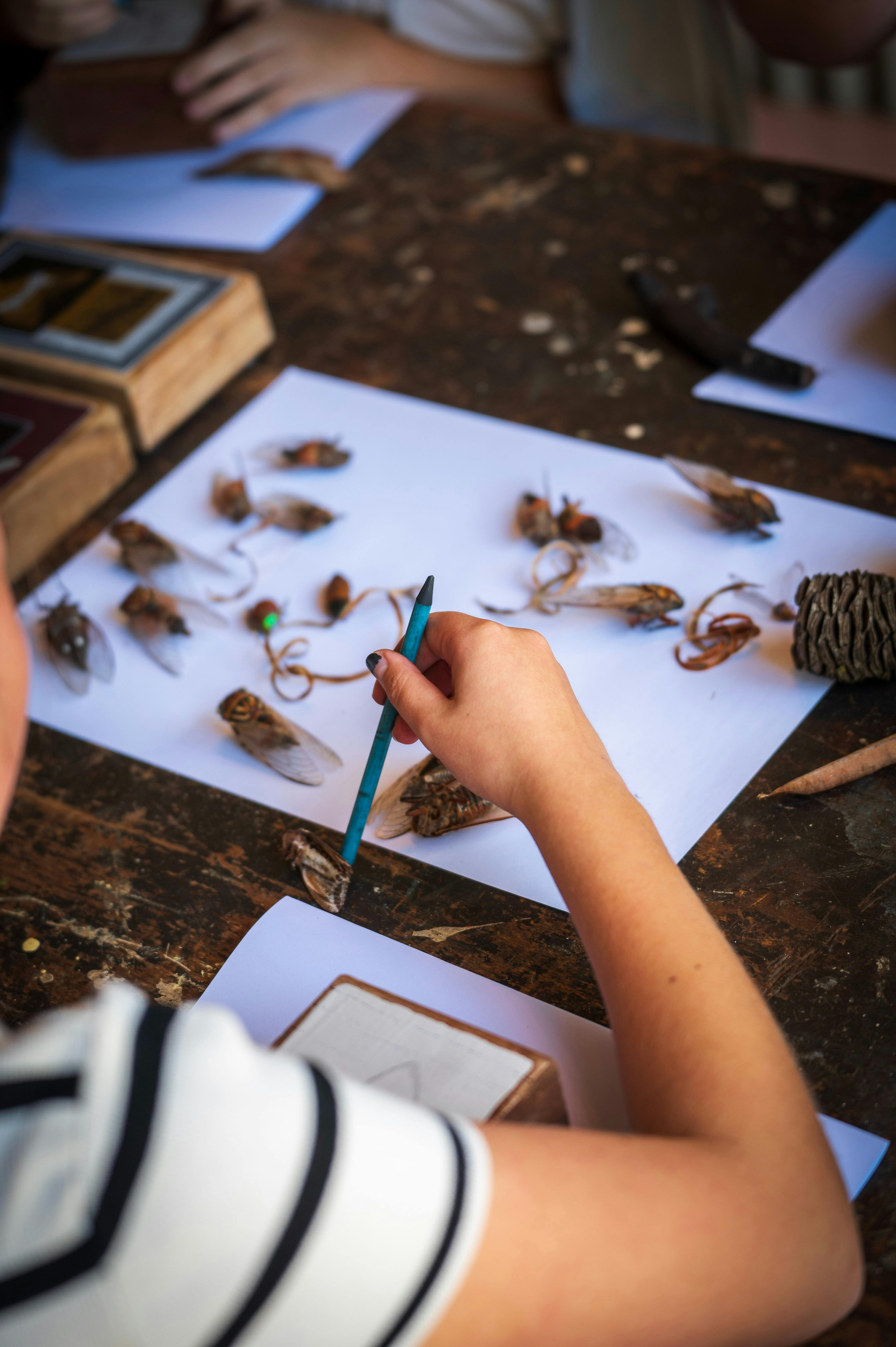 Artisan Collective