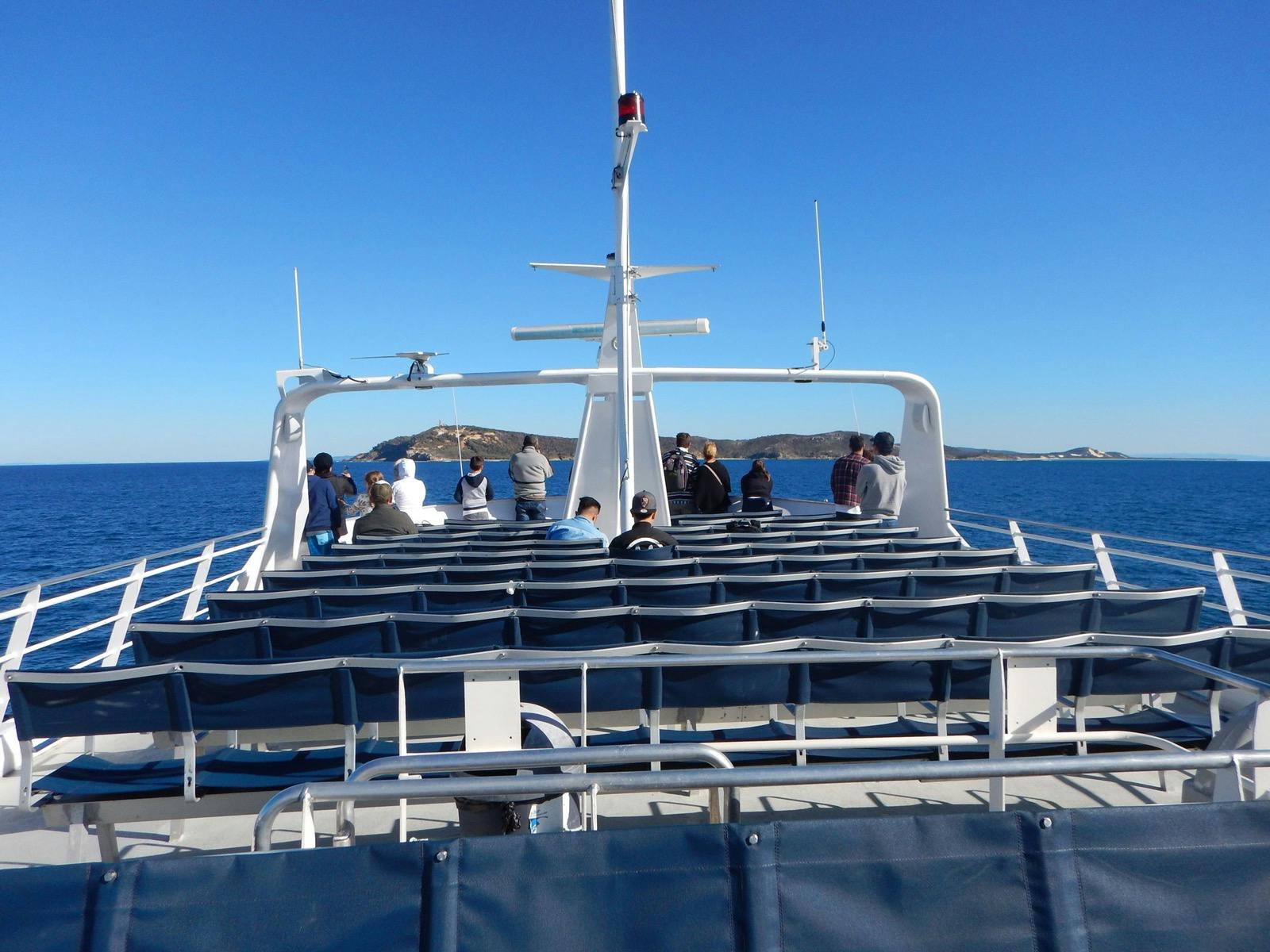 Whale Watching Cruise