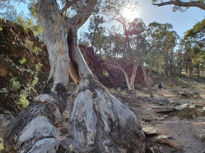 Flinders Ranges