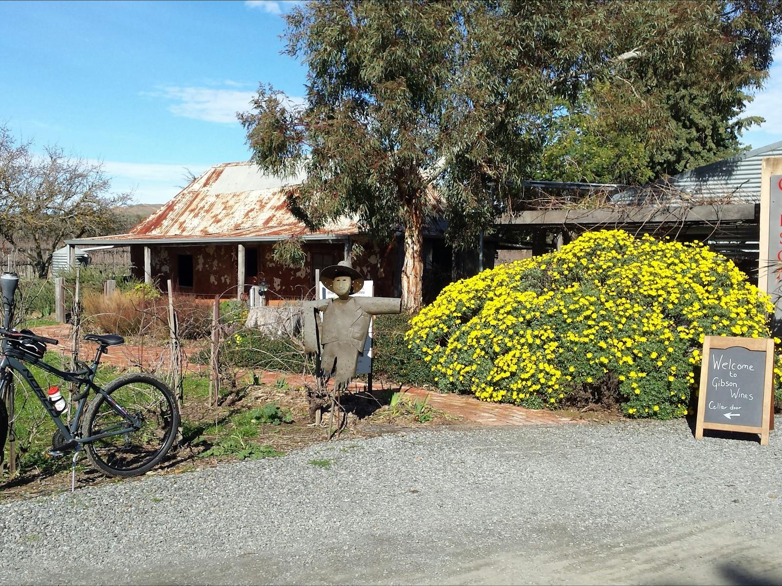 Barista, Brewer, Wine Cycle Tour
