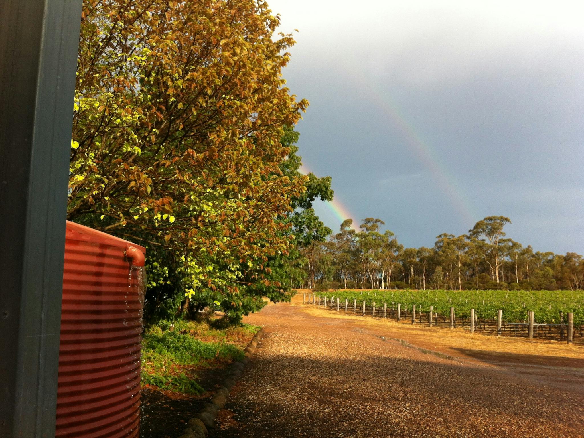 Rainbow follows some welcome rain