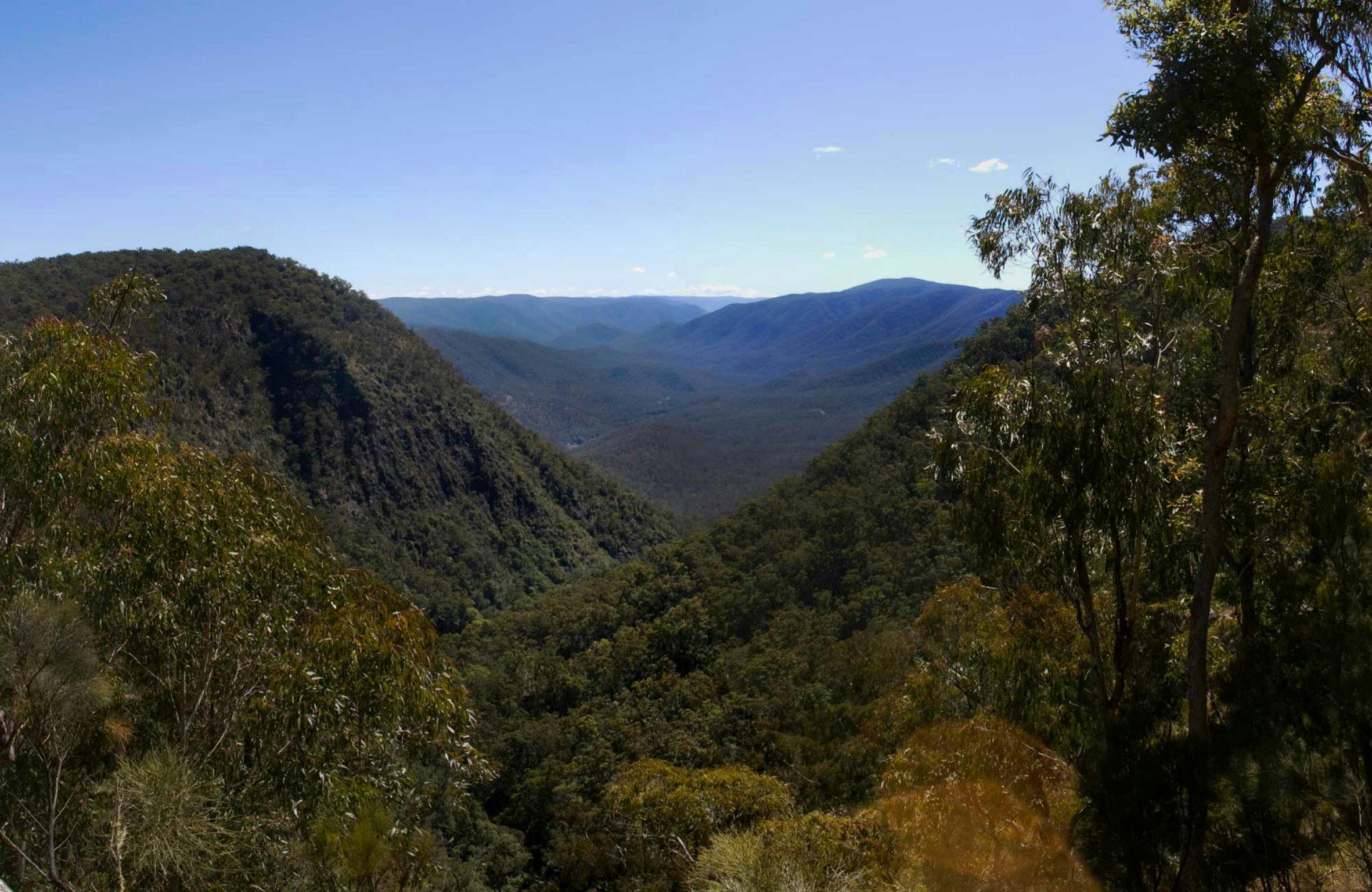Escarpment Walk, Guy Fawkes River National Park. Photo: NSW Government