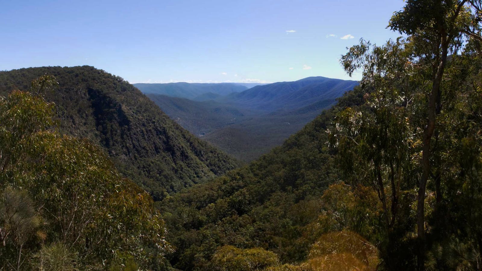 Escarpment Walk