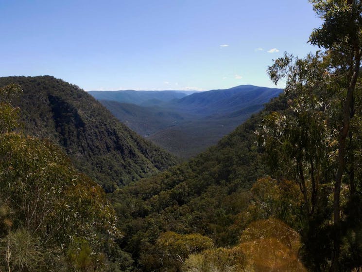 Escarpment Walk, Guy Fawkes River National Park. Photo: NSW Government