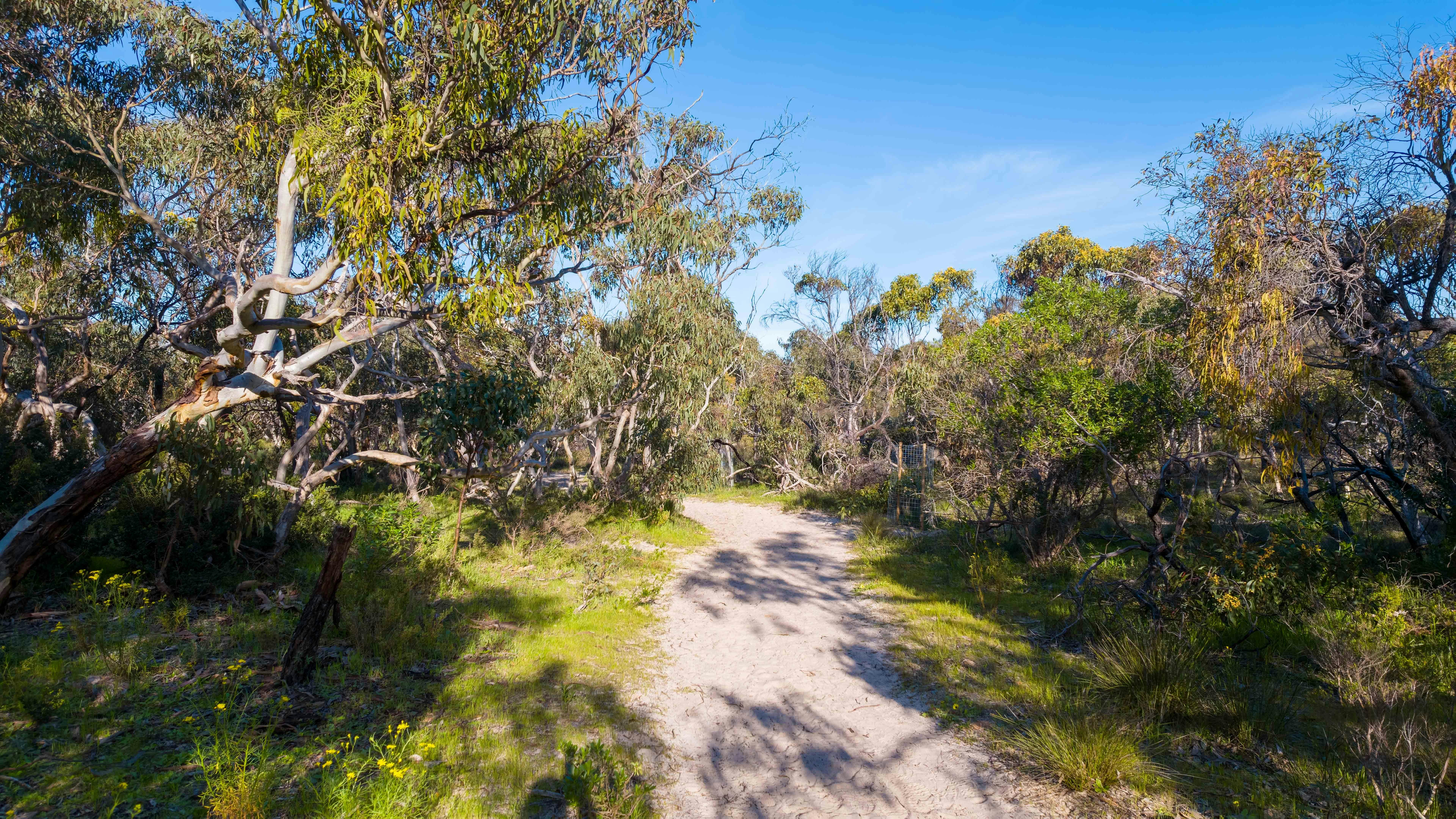 Willunga - Aldinga Conservation Park, SA
