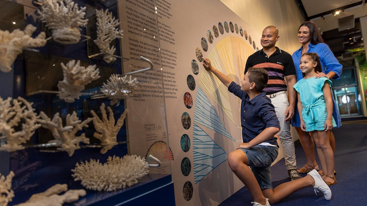 Museum of Tropical Queensland