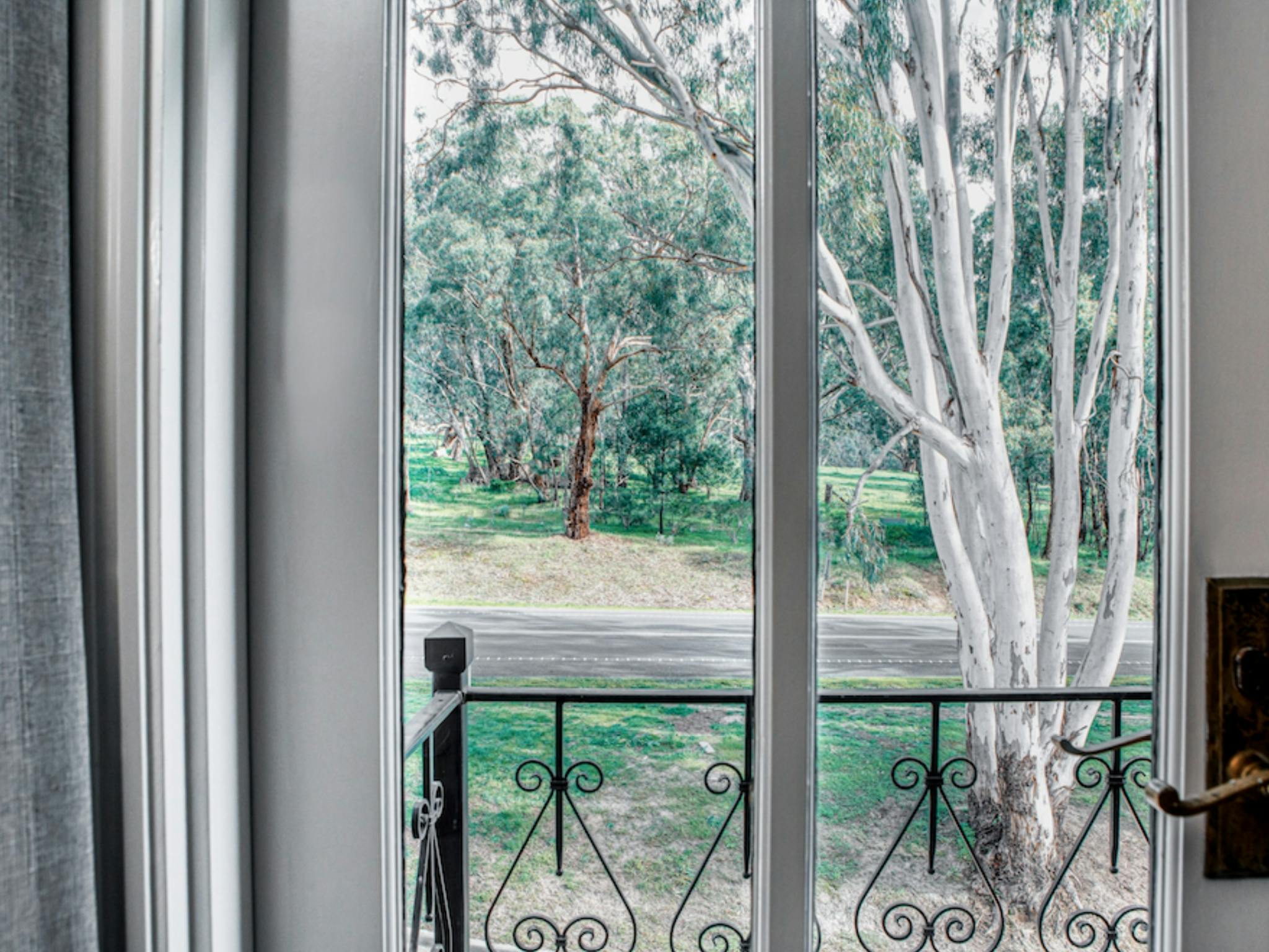 View of the Bush, Trawool Estate