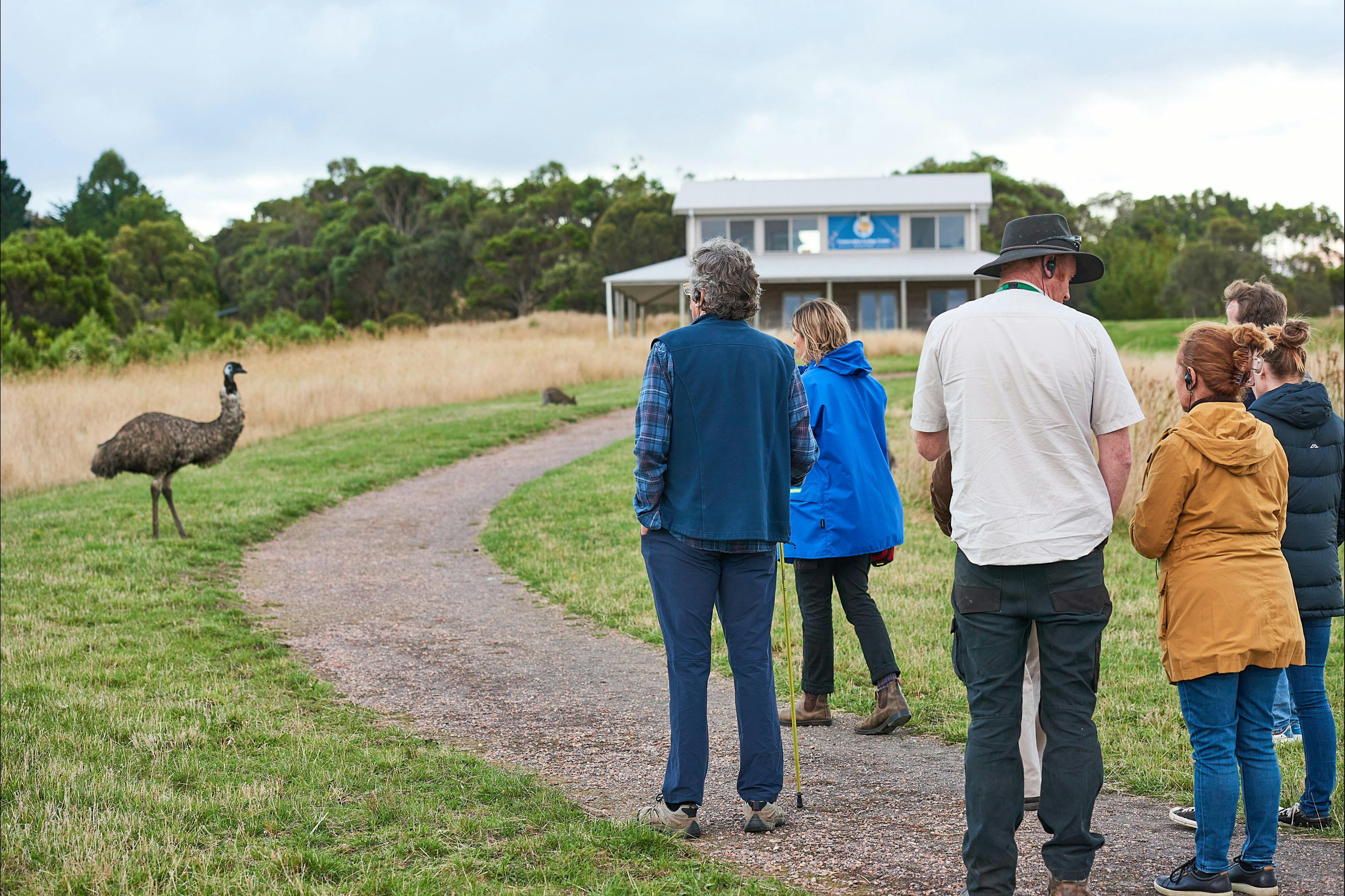 Group of people looking at an emu with a wallaby in the background