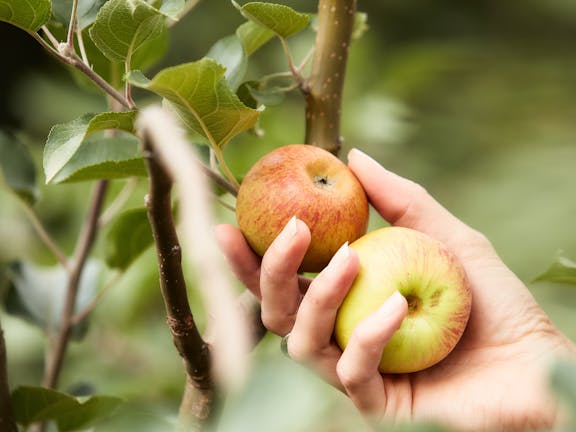 St Ronan's Cider