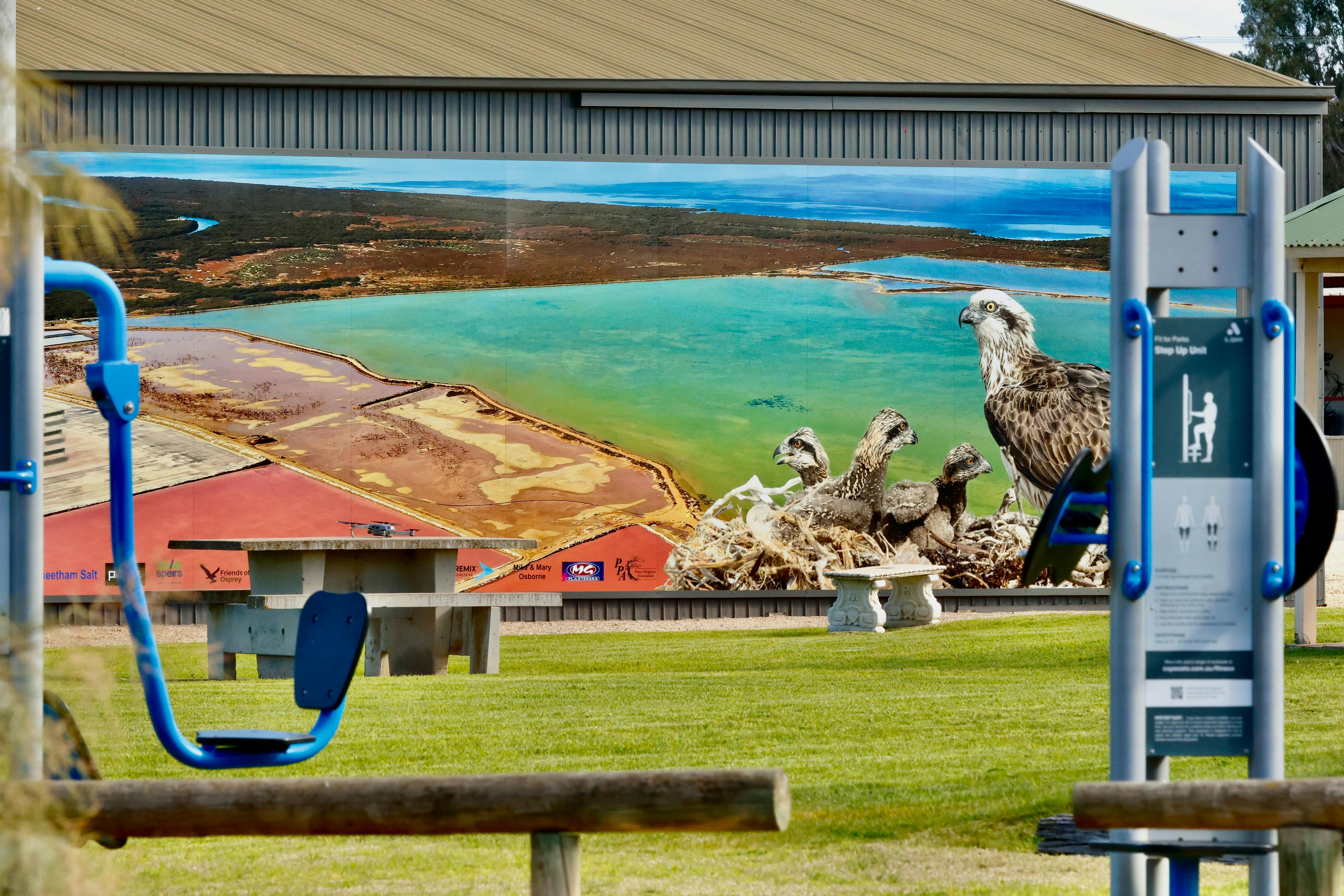 Osprey of Price Mural Illuminates at Night