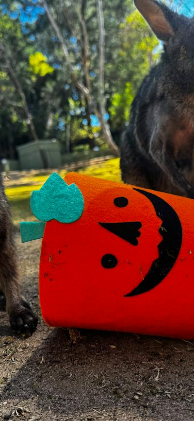 Spooktacular