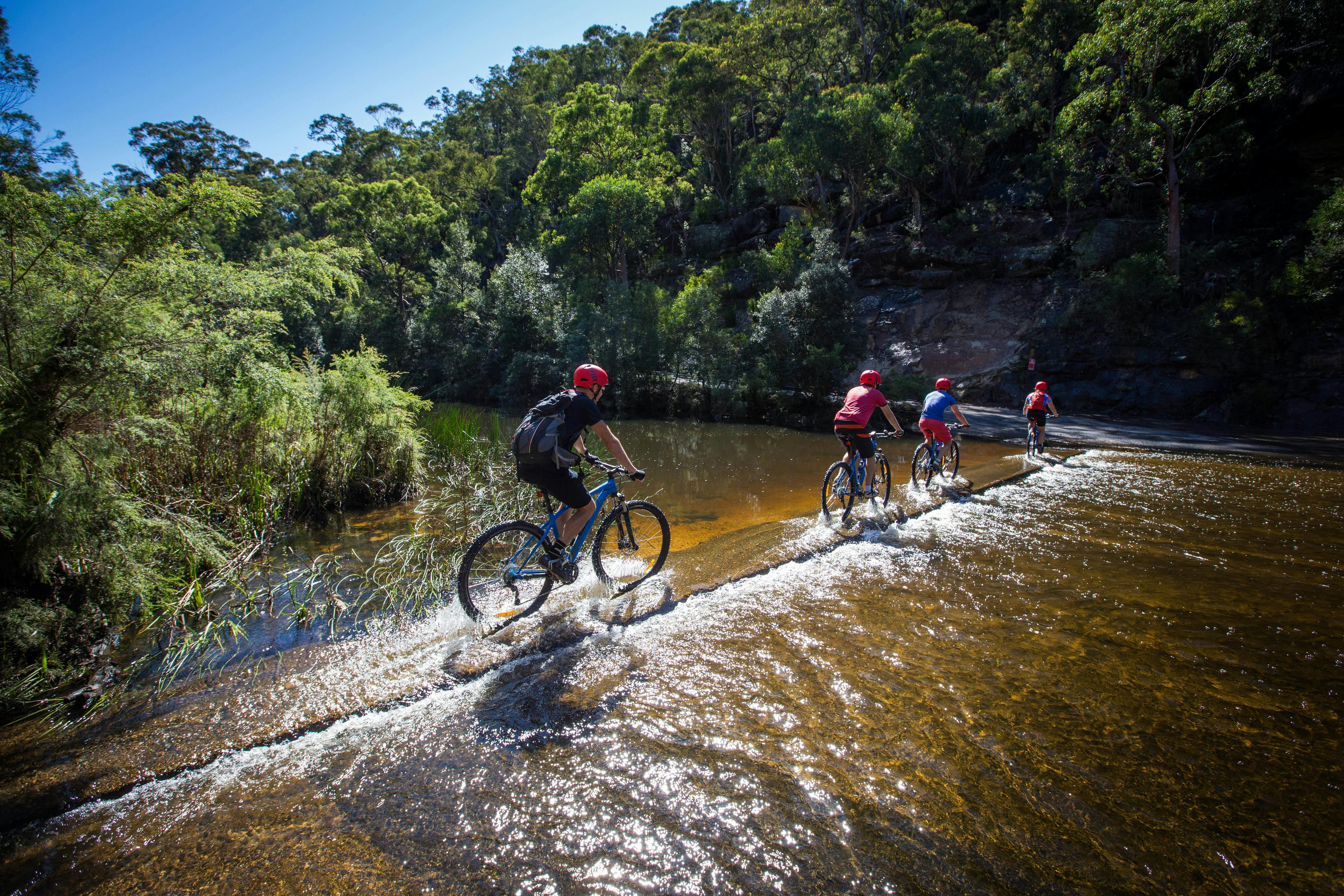 e-bike mountain biking blue mountains