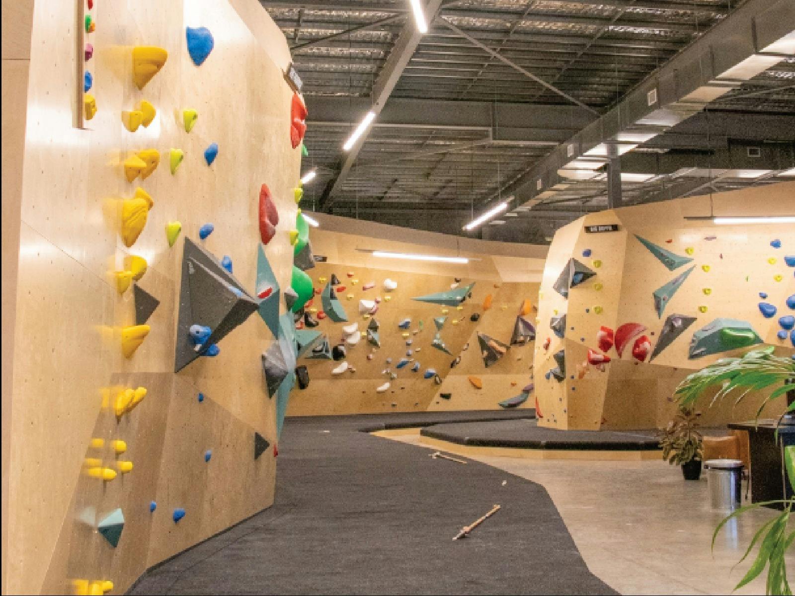 Climbing Wall