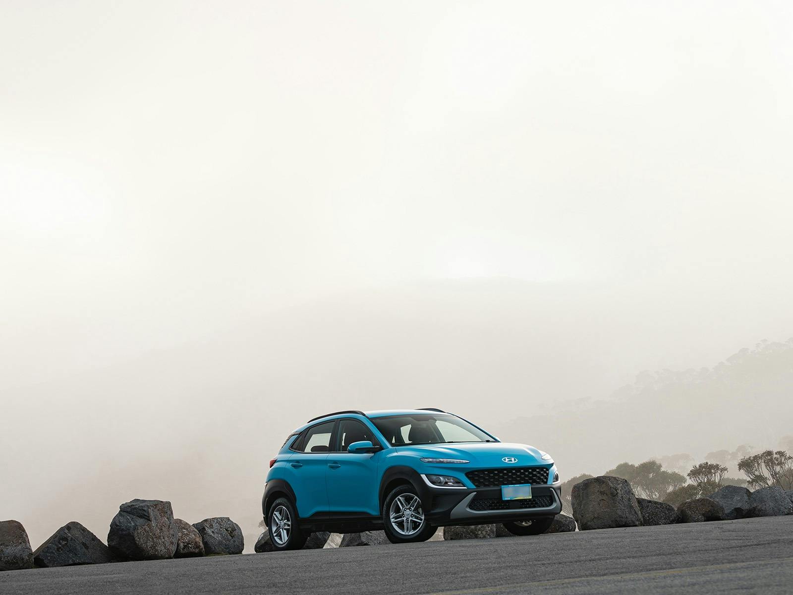 惠靈頓山的科納