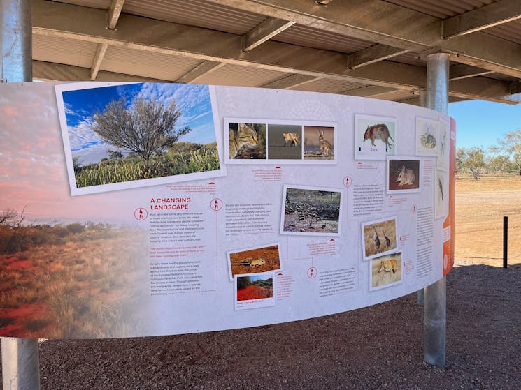 Milparinka and Sturt's Steps Touring Route | NSW Holidays ...