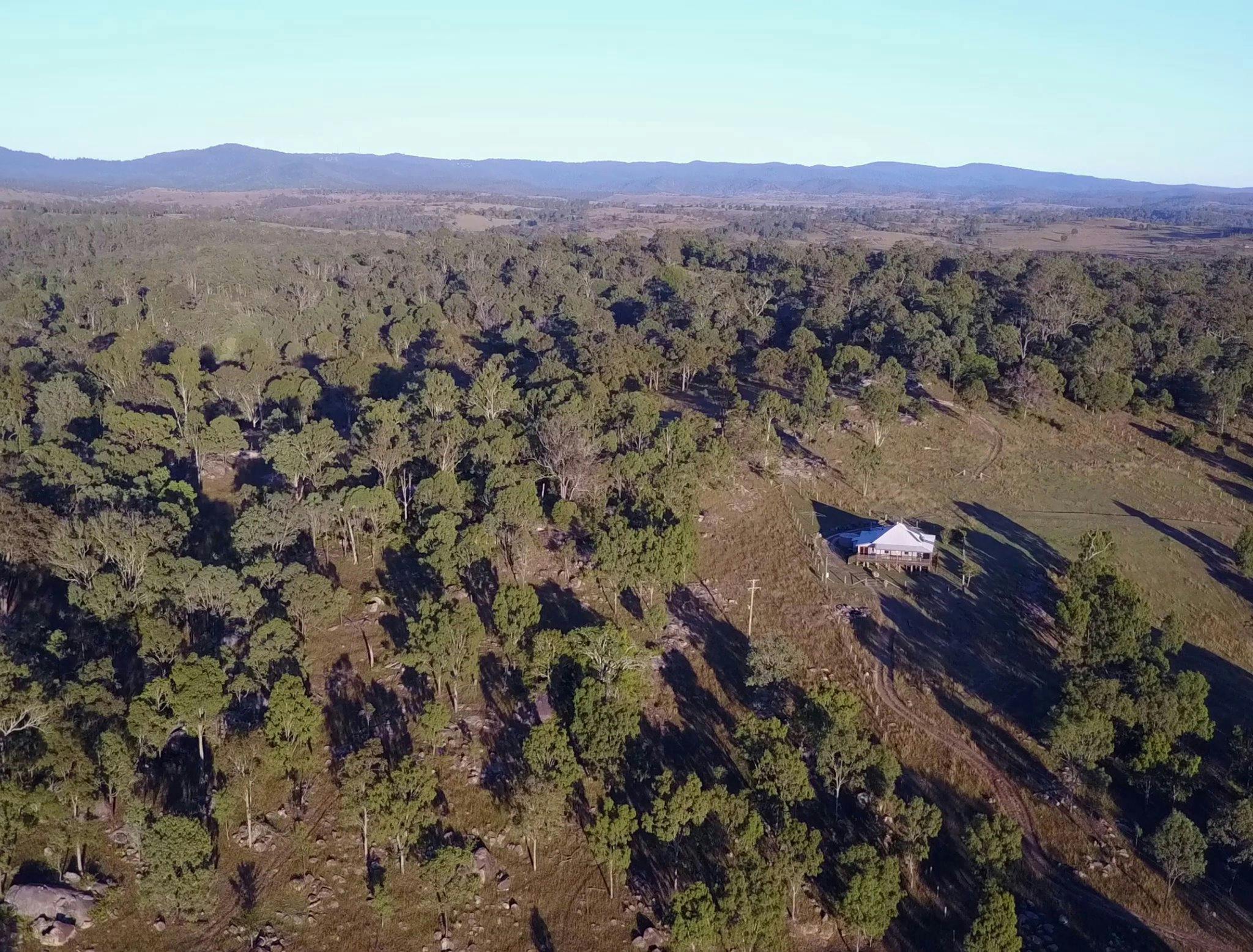 Bunya Mountains National Park backdrop